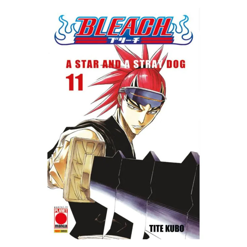 Bleach 11