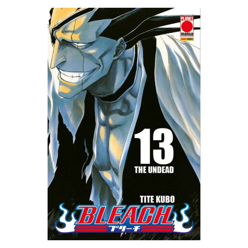 Bleach 13
