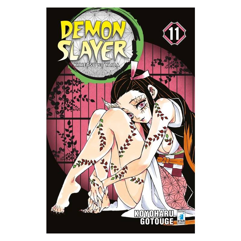 Demon Slayer - Kimetsu No Yaiba 11