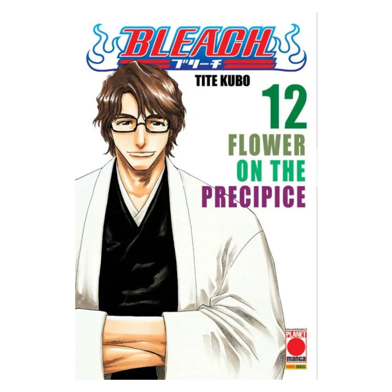 Bleach 12