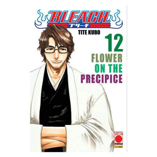 Bleach 12