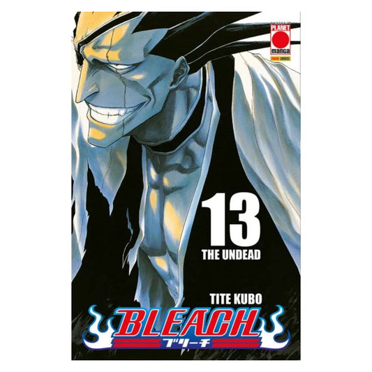 Bleach 13