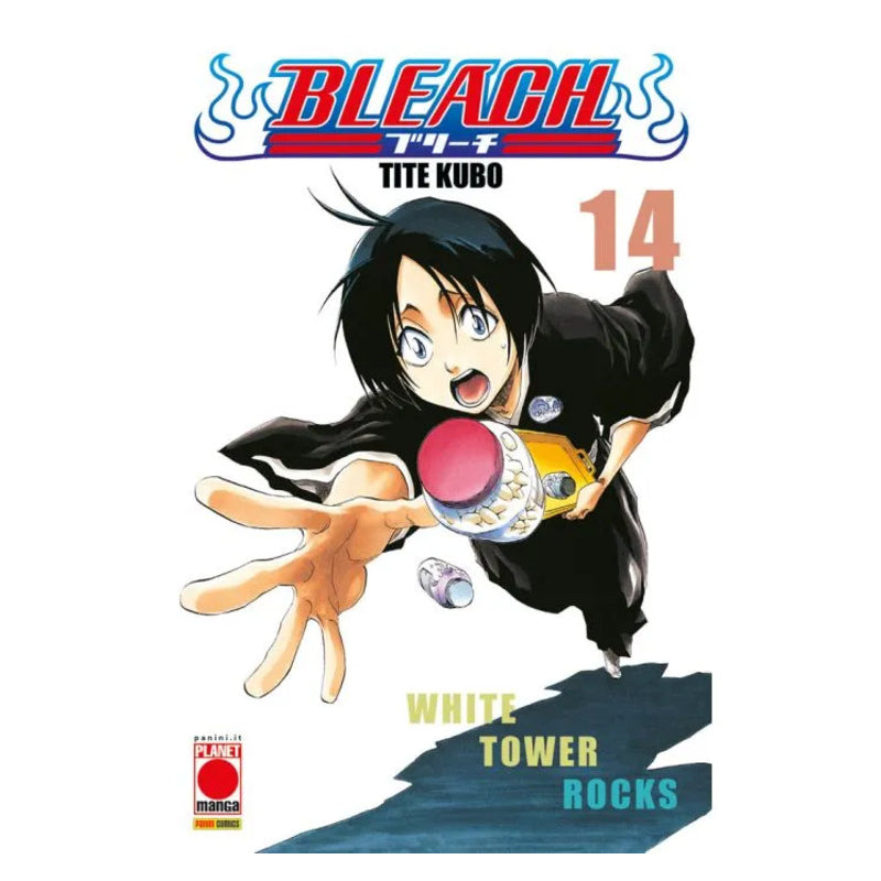 Bleach 14