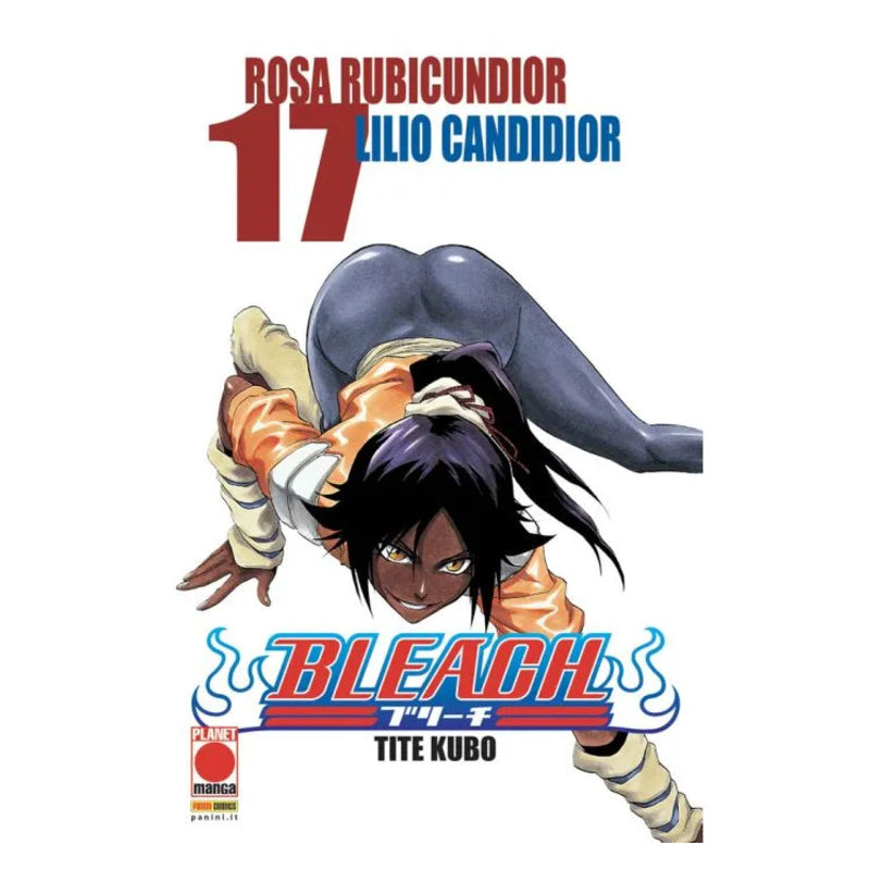 Bleach 17