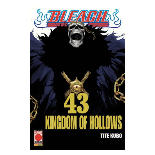 Bleach 43