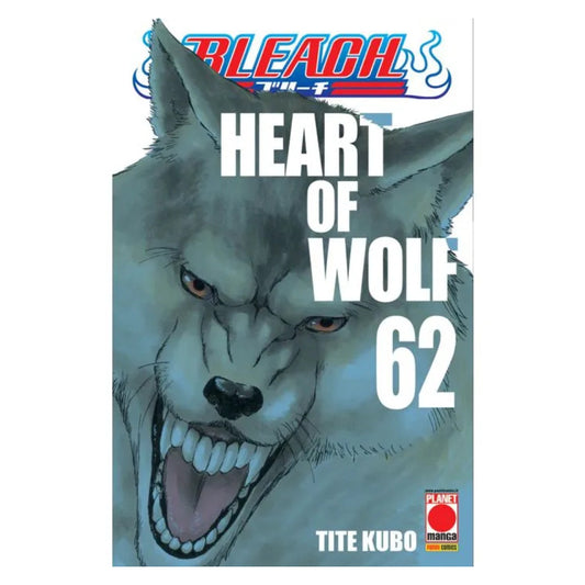 Bleach 62