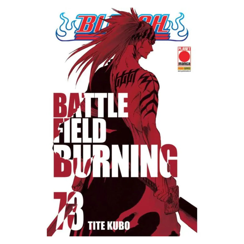 Bleach 73
