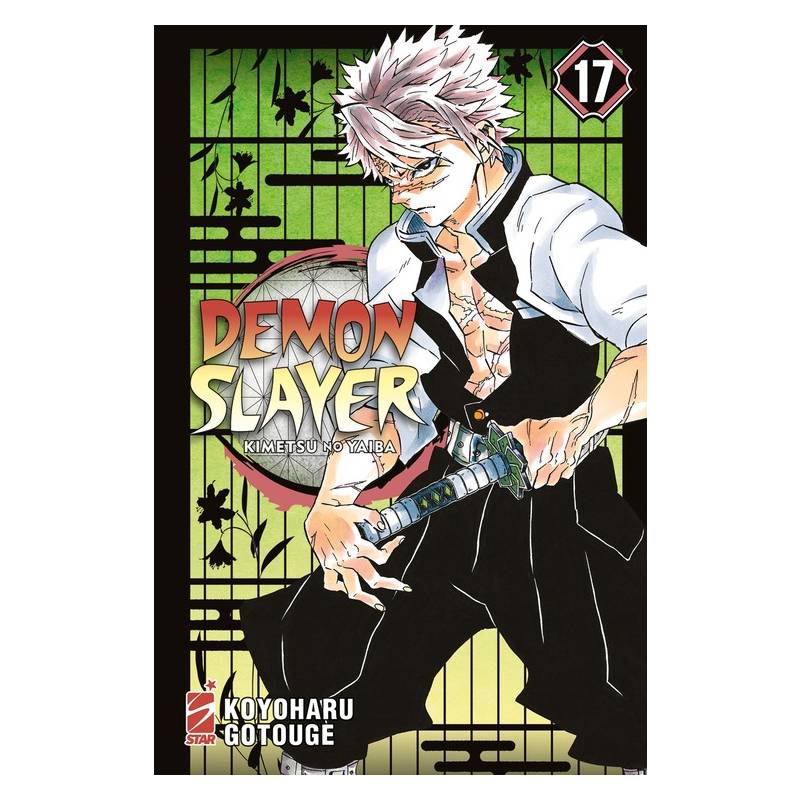 Demon Slayer - Kimetsu No Yaiba 17