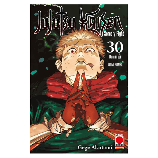Jujutsu Kaisen - Sorcery Fight 30